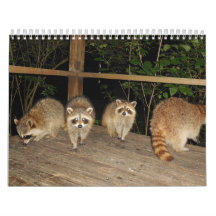 Waschbärenliebhaber-Fotokalender
