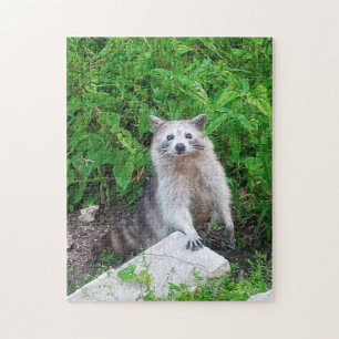 Waschbärenliebhaber-Wildtier-Puzzle Puzzle