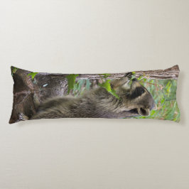Waschbärkörperkissen Seitenschläferkissen