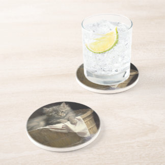 Wäsche- oder Spielzeit Grau-Kitten-Portrait Getränkeuntersetzer