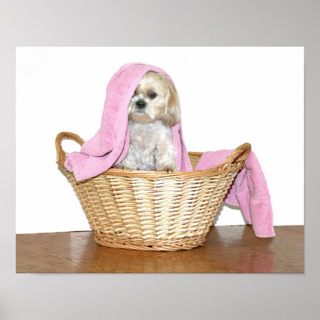 Wäschehelfer Poster (Vorne)