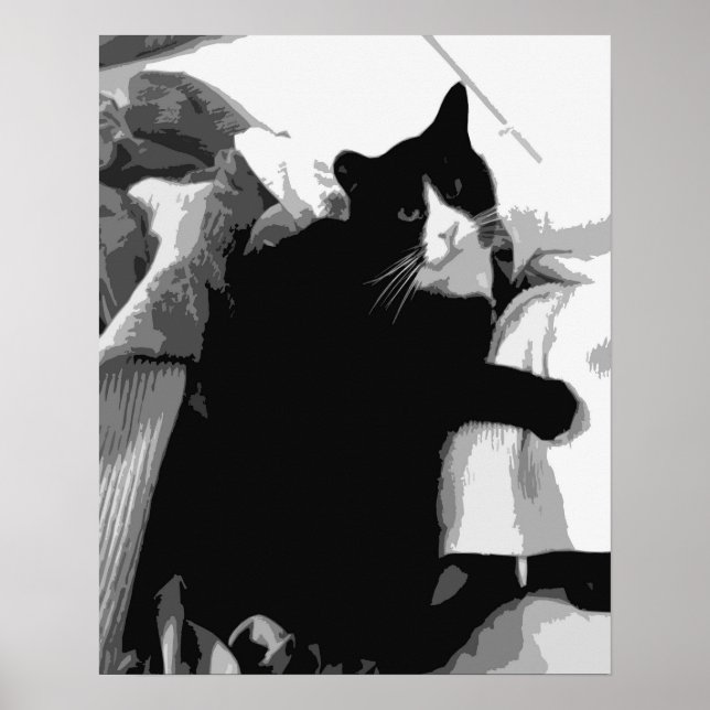 Wäschekatze Poster (Vorne)