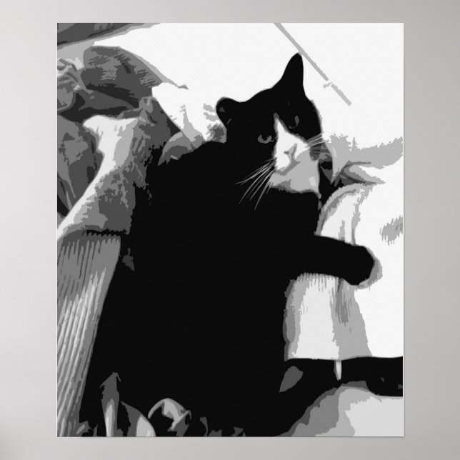 Wäschekatze Poster (Vorne)