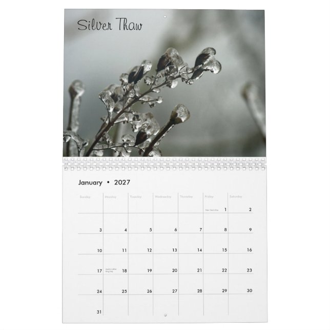 Waschender Staats-Kalender Kalender (Jan 2027)