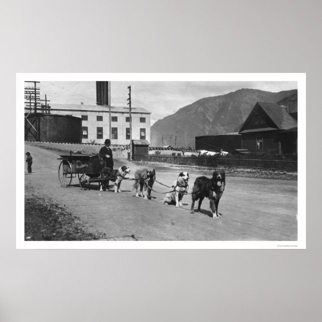 Wäscherei Dog Team Alaska 1904 Poster (Vorne)