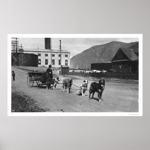 Wäscherei-Hundeteam Alaska 1904 Poster