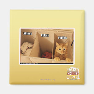 Wäscherei-Katze Magnet