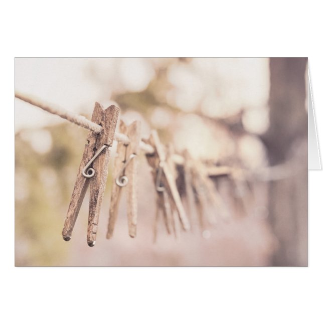 Wäschespinne auf einer Linie (Vorderseite (Horizontal))