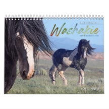 Waschkalender für Wildpferde