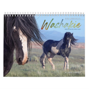 Waschkalender für Wildpferde Kalender