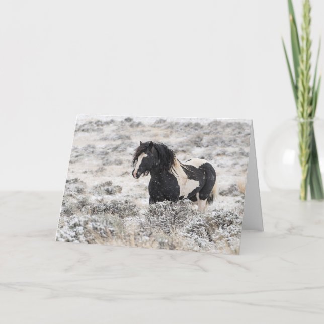 "Washakie im Winter" Ferienkarte Karte (Vorderseite)