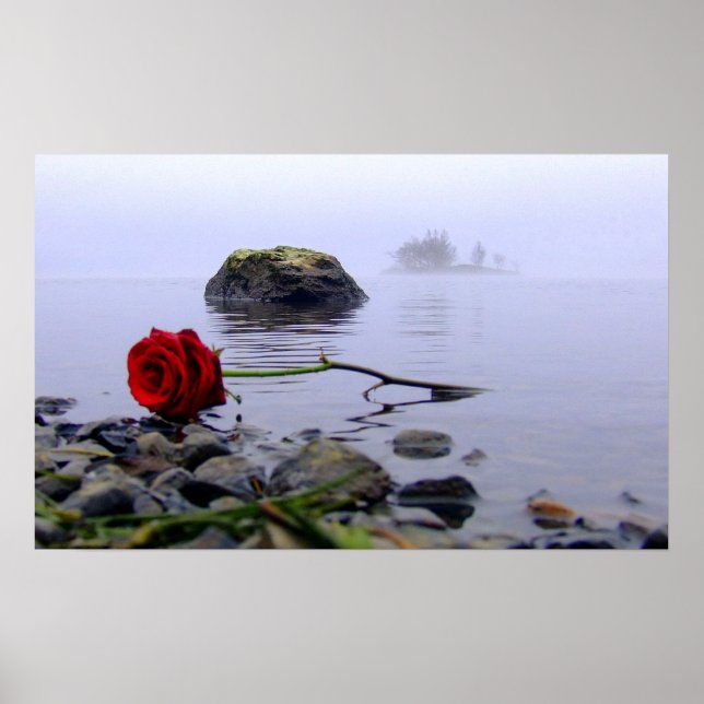 Washed Ashore Rote Rose Poster (Vorne)