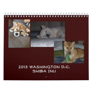 Washington 2013 D.C. Shiba Inu Kalender