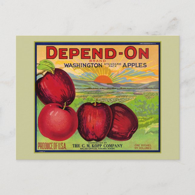 Washington Äpfel Postkarte (Vorderseite)