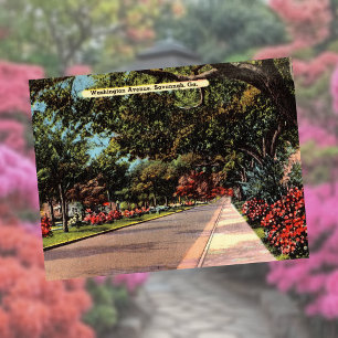Washington Avenue Savannah GA historisch Postkarte
