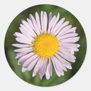 Washington, Cascade Range, Mount Baker Runder Aufkleber