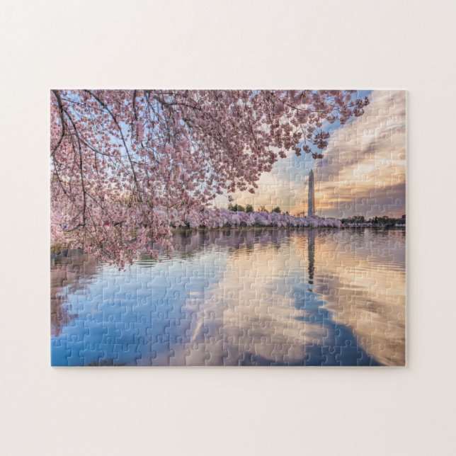 Washington D.C Cherry Blossom Puzzle (Horizontal)