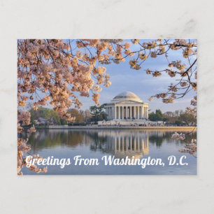 Washington D.C. Jefferson Memorial Postkarte