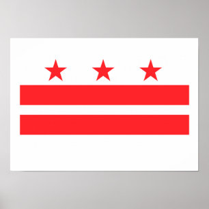 WASHINGTON D.C POSTER