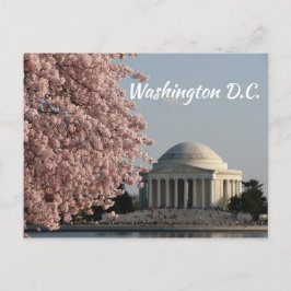 Washington DC im Frühjahr Postcard Postkarte