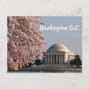 Washington DC im Frühling Postkarte
