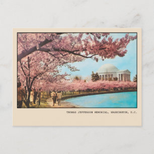 Washington DC Jefferson Memorial Kirschblüten Postkarte