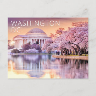 Washington DC Jefferson Memorial Kirschblüten Postkarte