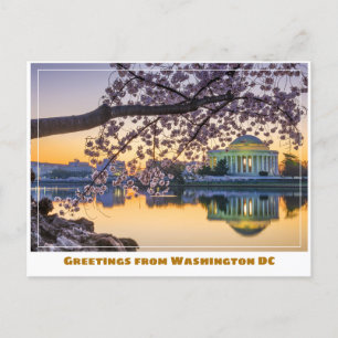Washington DC Jefferson Memorial w Cherry Branch Postkarte