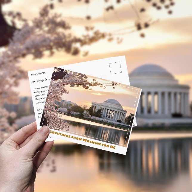 Washington DC Jefferson Memorial w Cherry Tree Postkarte (Von Creator hochgeladen)