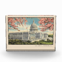 Washington DC Postcard US Hauptstadt Kirschblüten