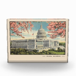 Washington DC Postcard US Hauptstadt Kirschblüten Fotoblock