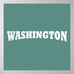 Washington DC Poster