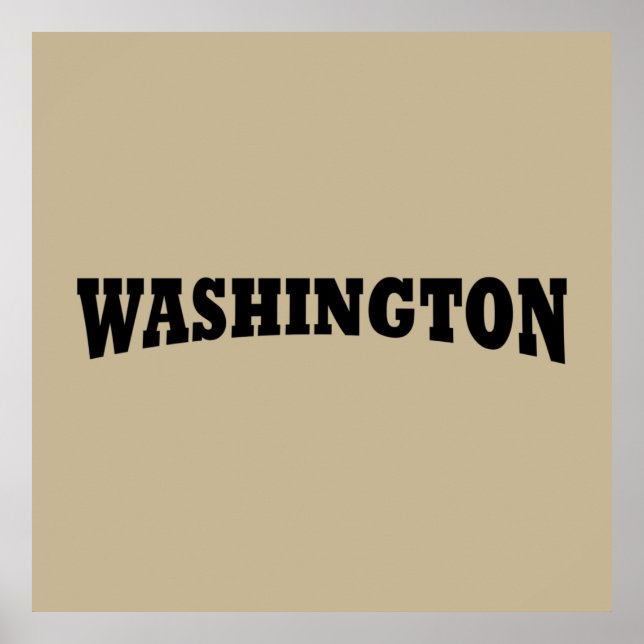 Washington DC Poster (Vorne)