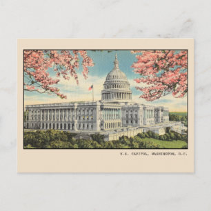 Washington DC Postkarte US Kapitol Kirschblüten