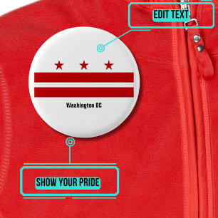 Washington DC Pride Button