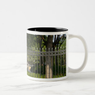 Washington, DC, Statue von George Washington, Die Zweifarbige Tasse
