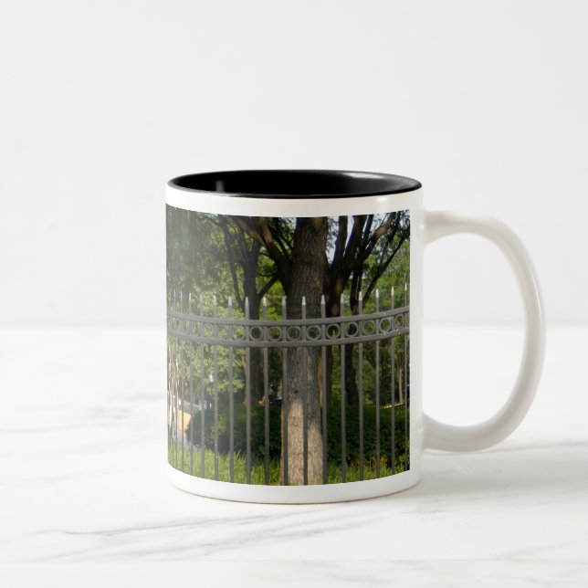 Washington, DC, Statue von George Washington, Zweifarbige Tasse (Rechts)