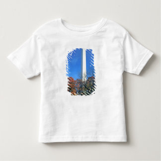WASHINGTON, DC USA. Washington-Monumentaufstiege Kleinkind T-shirt