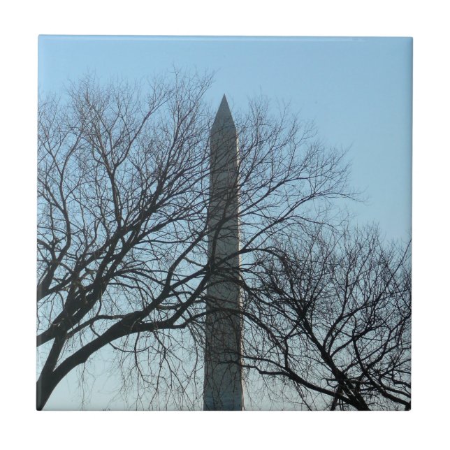 Washington Denkmal im Winter I Landschaft Fliese (Vorderseite)
