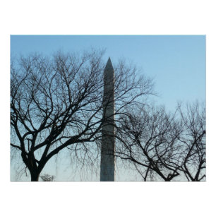 Washington Denkmal im Winter I Landschaft Poster