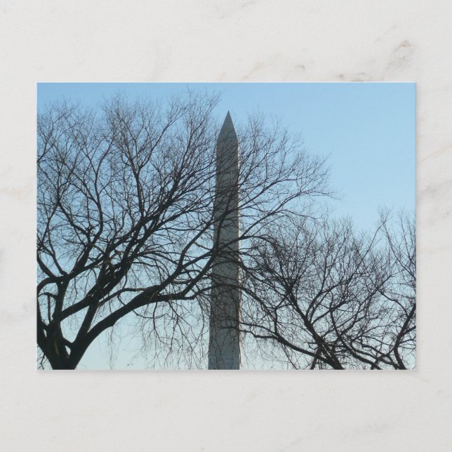 Washington Denkmal im Winter I Landschaft Postkarte (Vorderseite)