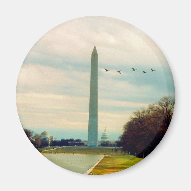 Washington-Denkmalvögel Magnet (Vorne)