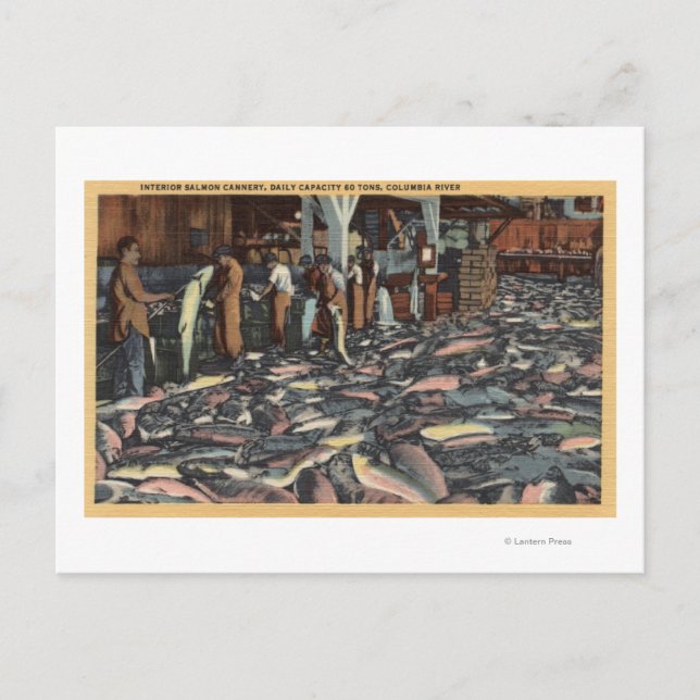 Washington - Innenansicht eines Lachs Postkarte (Vorderseite)