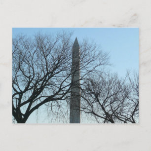 Washington Monument im Winter I Landschaft Postkarte