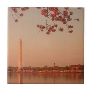 Washington-Monument Kirschblüte am Sonnenuntergan Fliese