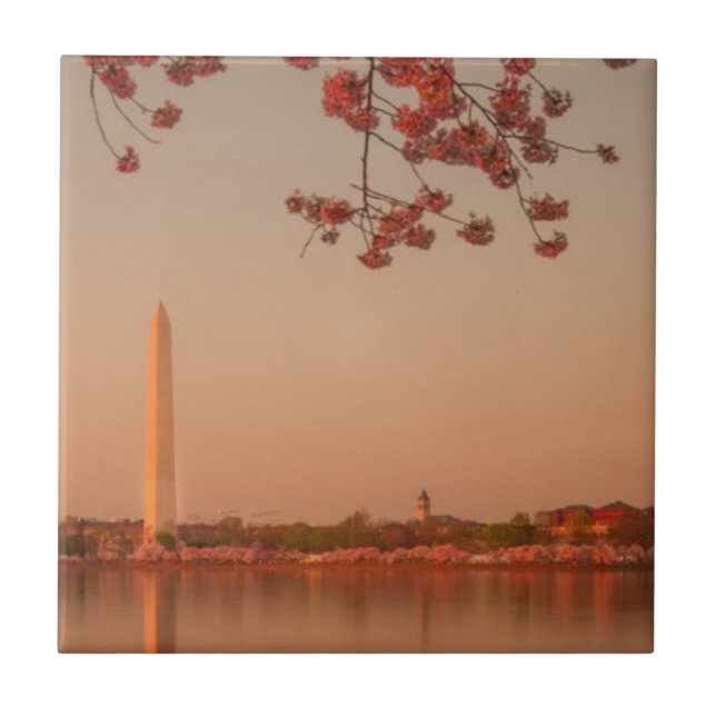 Washington-Monument Kirschblüte am Sonnenuntergang Fliese (Vorderseite)
