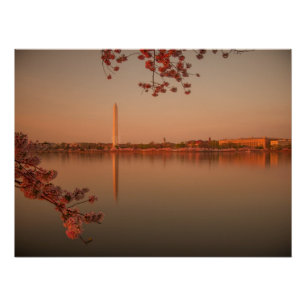 Washington-Monument Kirschblüte am Sonnenuntergang Poster