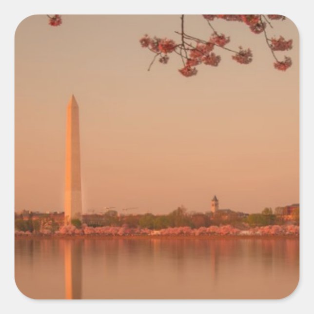 Washington-Monument Kirschblüte am Sonnenuntergang Quadratischer Aufkleber (Vorderseite)