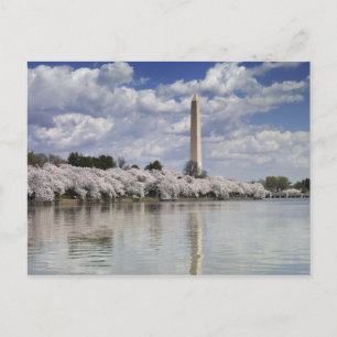 WASHINGTON MONUMENT LITHOGRAPH POSTKARTE