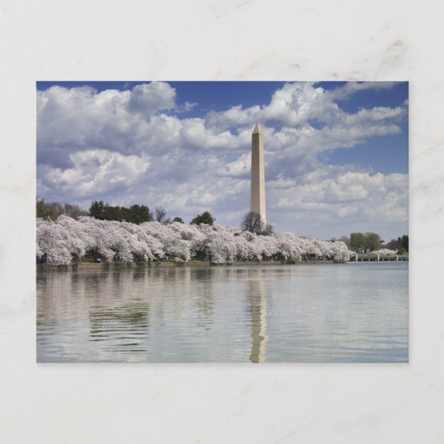 WASHINGTON MONUMENT LITHOGRAPH POSTKARTE (Vorderseite)